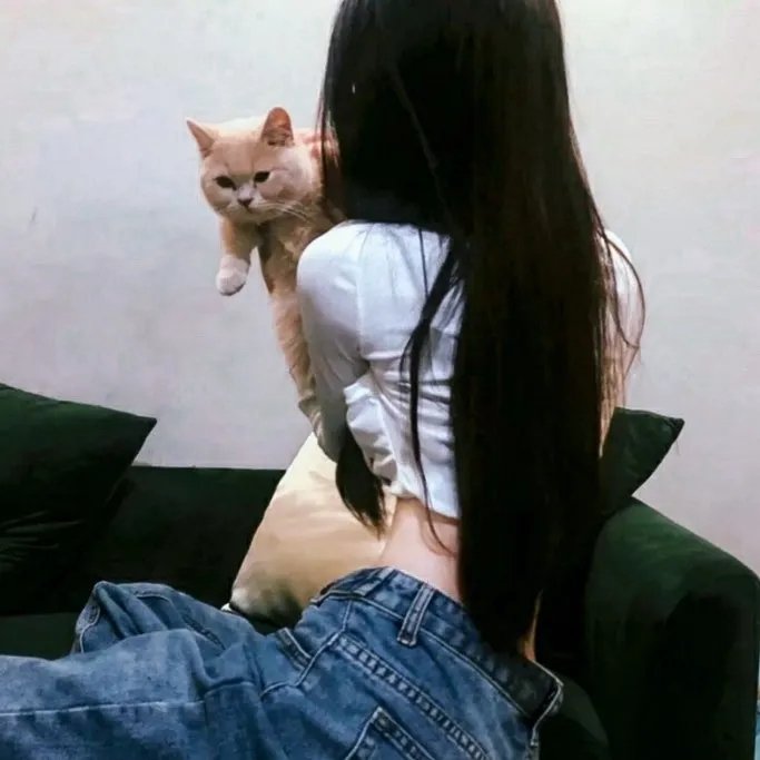 抱歉打扰
